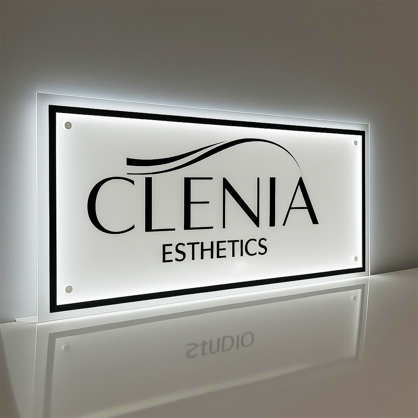 Custom Frosted 3D Acrylic Rectangular Business Logo LED Signs