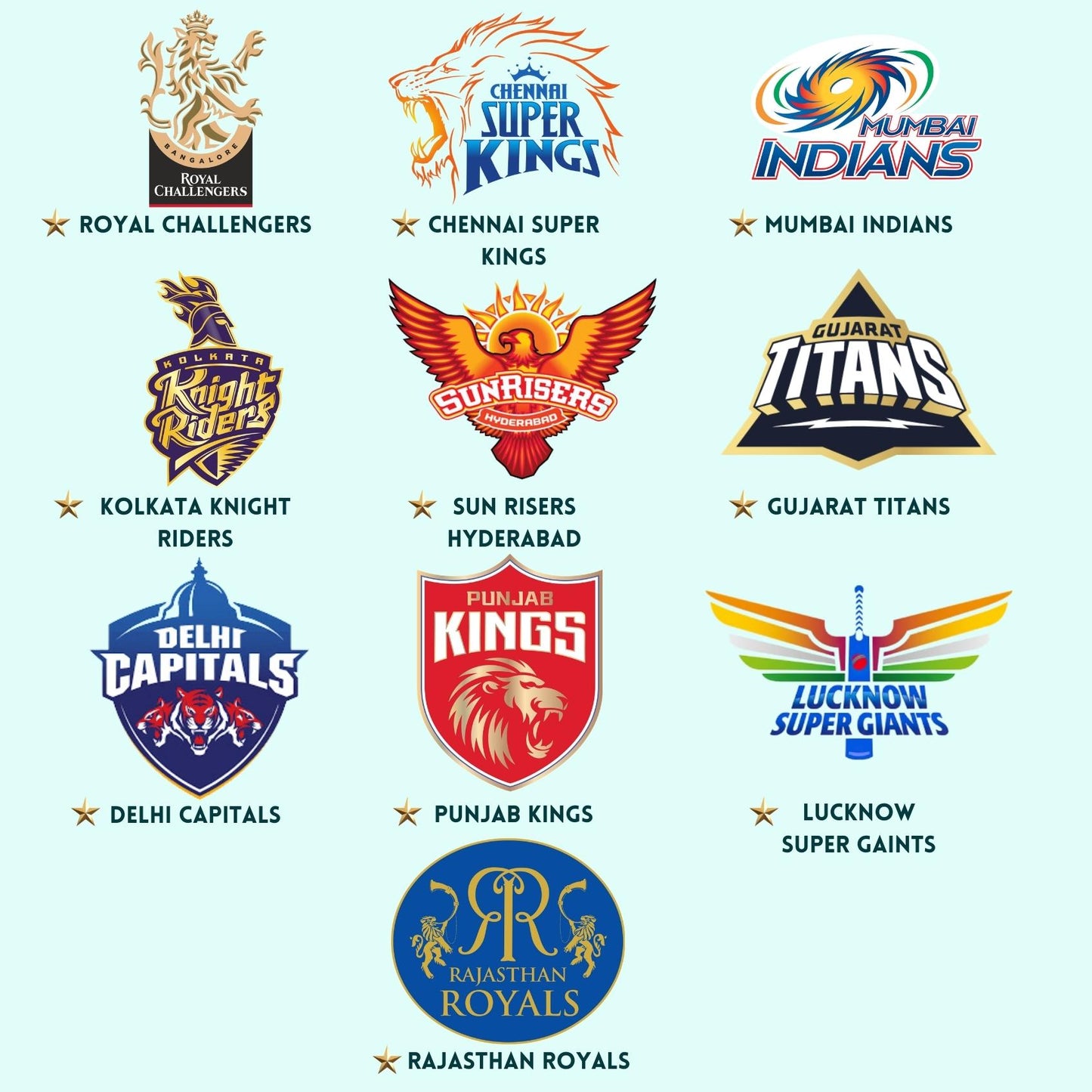 Personalized IPL Favorite Team - Temperature display bottle
