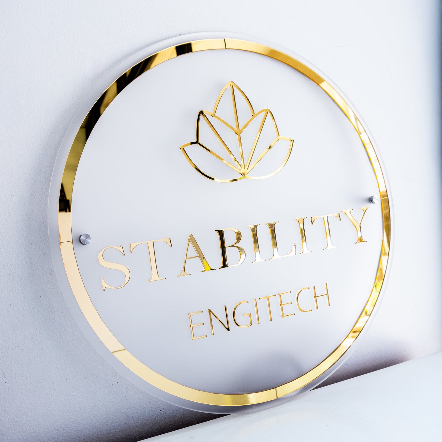 Custom Frosted 3D Acrylic Round Business Logo Signs