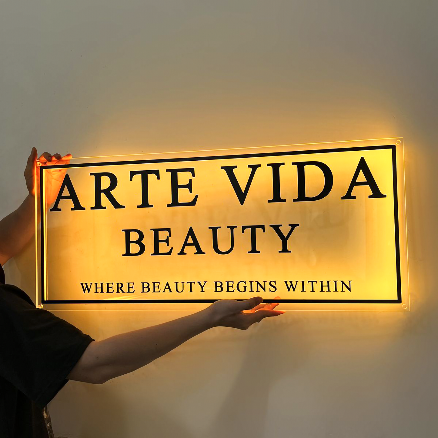 Custom Frosted 3D Acrylic Rectangular Business Logo LED Signs